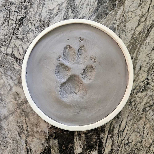 Ceramic Clay Paw Impression