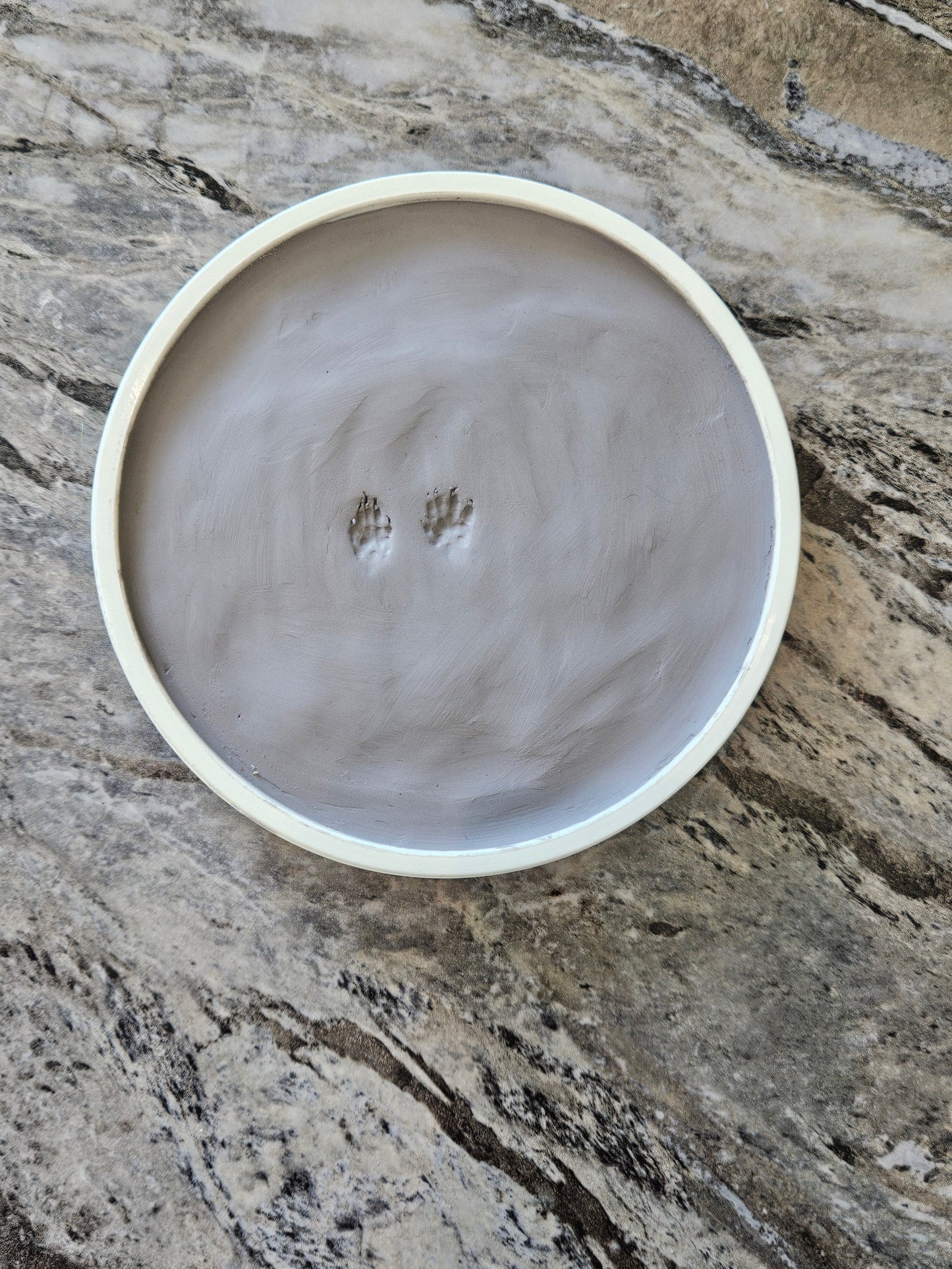 Ceramic Clay Paw Impression