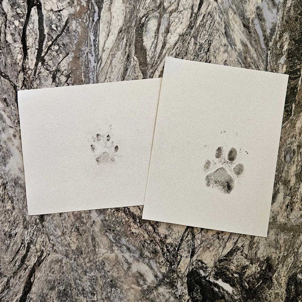 Ink Paw Print