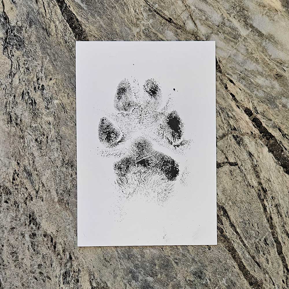 Ink Paw Print