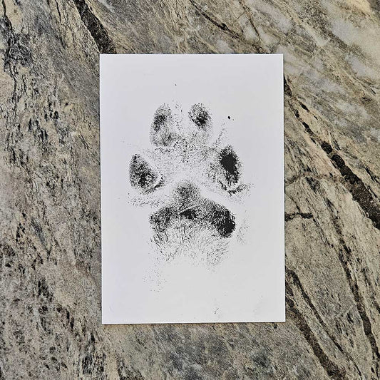 Ink Paw Print